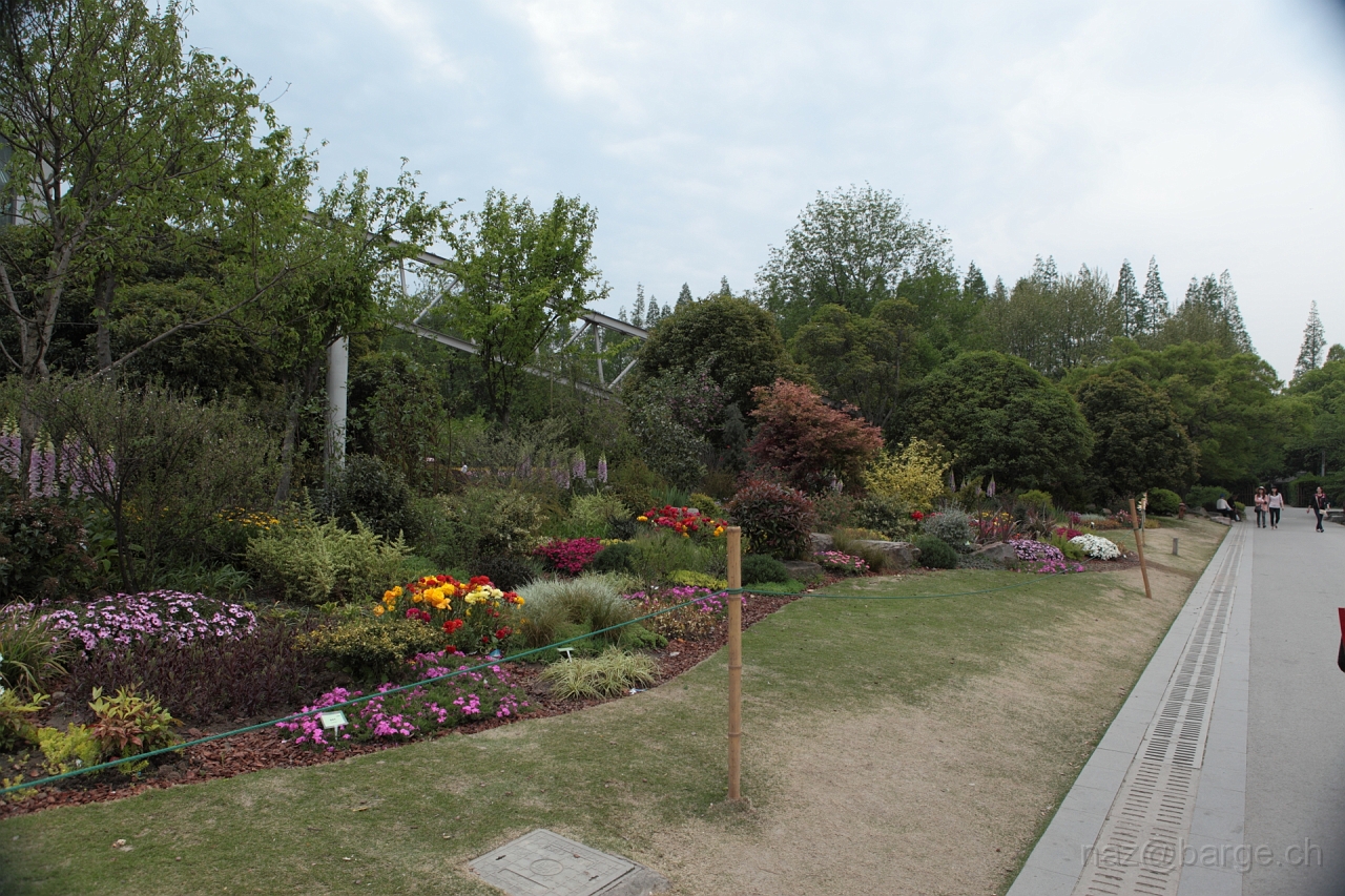 EOS 5D Mark II16_04_20135039.JPG